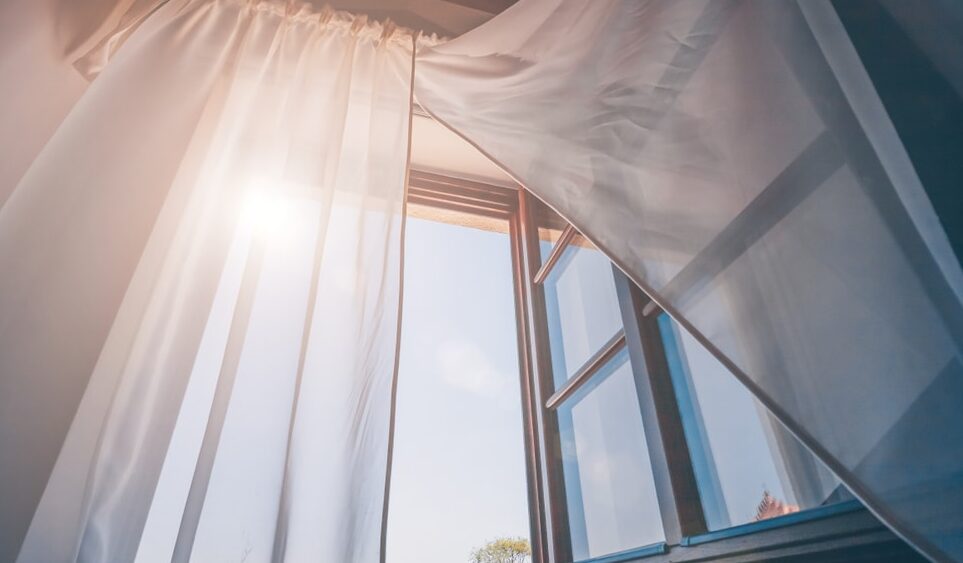 Pella Windows
