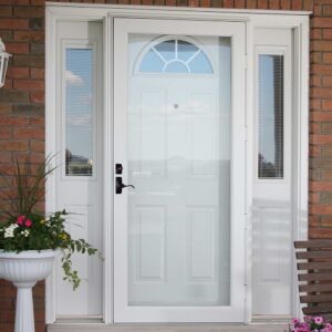 Storm Door  Aluminum I