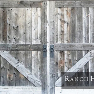 Vintage Door