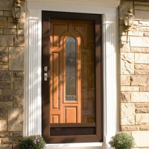 Storm Door  Aluminum IV
