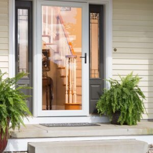 Storm Door Aluminum X