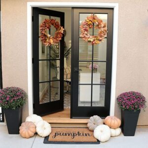 Exterior French Door