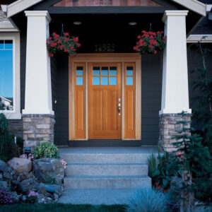 Exterior Door XXXIV