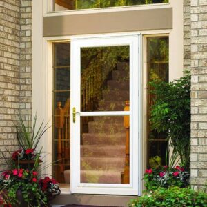 Storm Door Aluminum XII