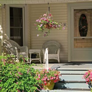 Storm Door  Aluminum IX