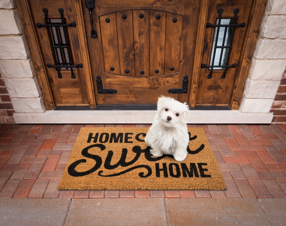 modifying entry door for pets